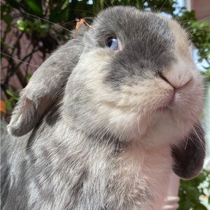 Meet your Posher, Leslie